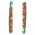 Country Sticks Canaries - elderberry & cranberry