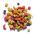 Zupreem Fruit Blend Medium/ Large