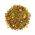 CéDé® Eggfood Moist Allround Tropical Fruit