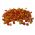 PERLE MORBIDE® FRUITS ROSSE