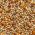 BEYERS PREMIUM SUPER BREEDING