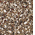 Deli Nature 90 - Pine Grosbeaks & Crossbills