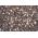 Deli Nature 28 - Germination Seeds Parrots 2,5kg