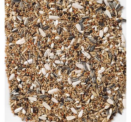 Deli Nature 69 - Large Parakeet With Sunflower Seeds