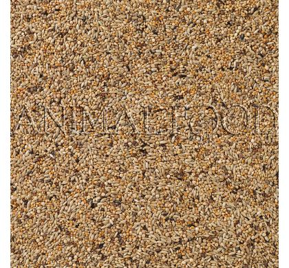 Deli Nature 84 - APV Gould