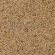 Deli Nature 84 - APV Gould