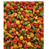 VERSELE-LAGA NutriBird P19 TROPICAL