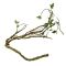 Terarijná dekorácia Hrubá vetva rastliny 110cm