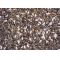 Deli Nature 28 - Germination Seeds Parrots 2,5kg