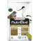 VERSELE-LAGA NutriBird INSECT PATEE PREMIUM 500g